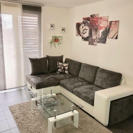 Le T2 Appartement Moderne Avec Terrasse Et Parking Strasburg Zewnętrze zdjęcie
